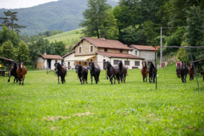 Agriturismo Carovane Compiano